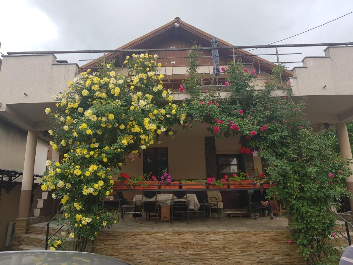 Casa Delia Hotel Călimăneşti Exterior foto