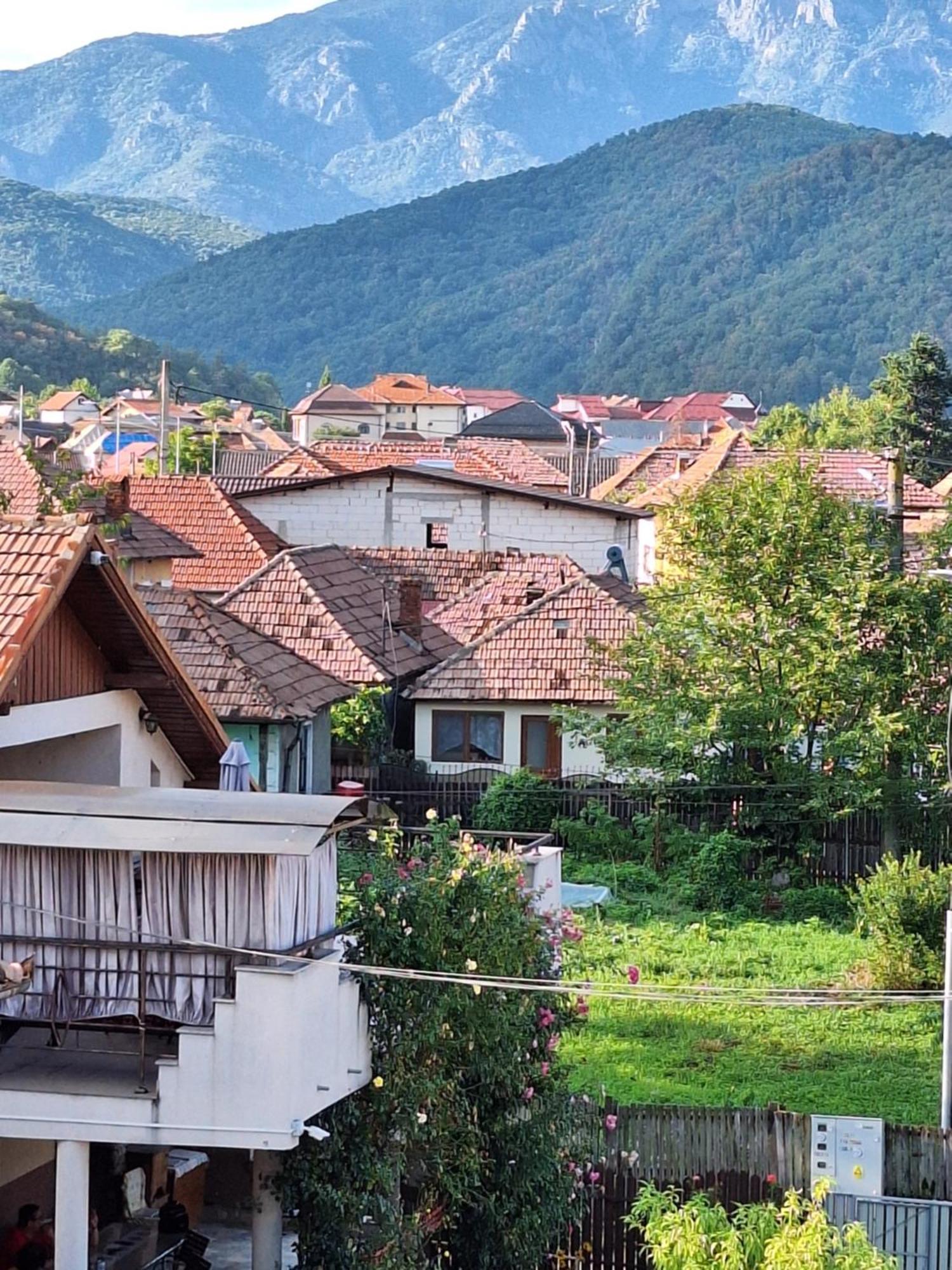 Casa Delia Hotel Călimăneşti Exterior foto