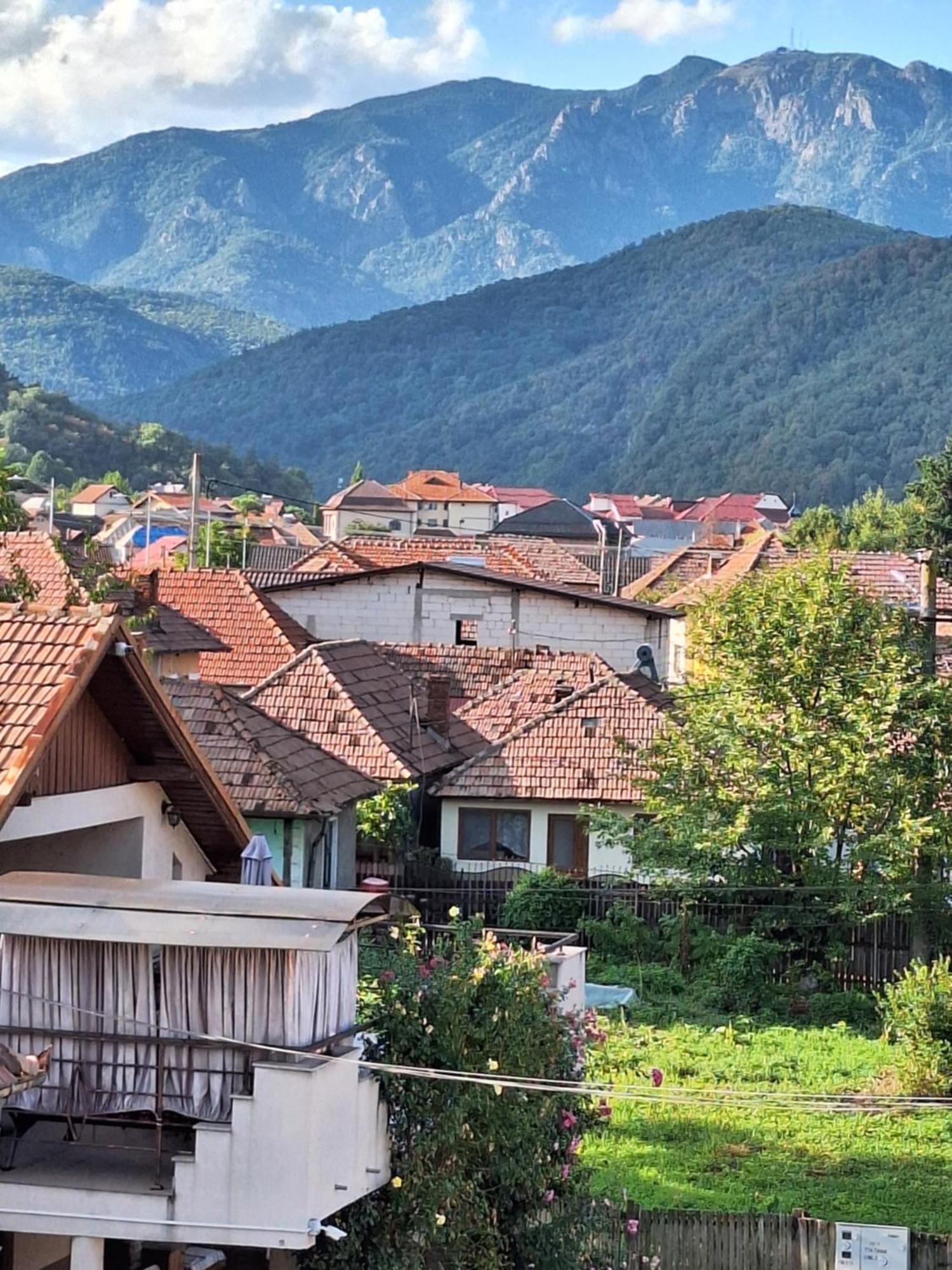 Casa Delia Hotel Călimăneşti Exterior foto