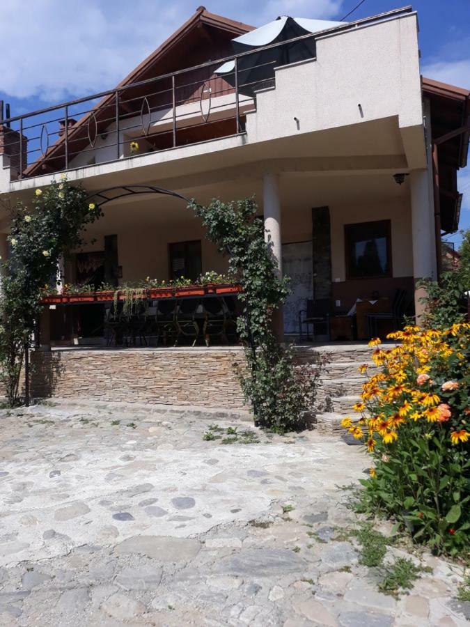 Casa Delia Hotel Călimăneşti Exterior foto